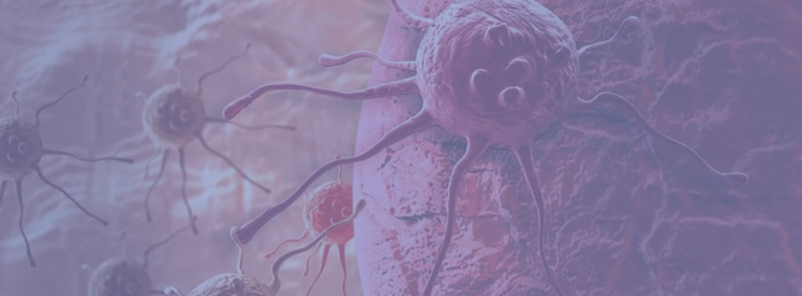Consulta de Oncologia da Mulher na Clínica Medicina da Mulher