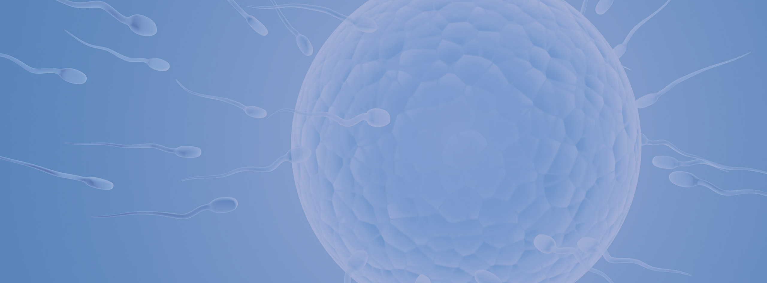 Consulta para investigação de fertilidade e reprodução humana